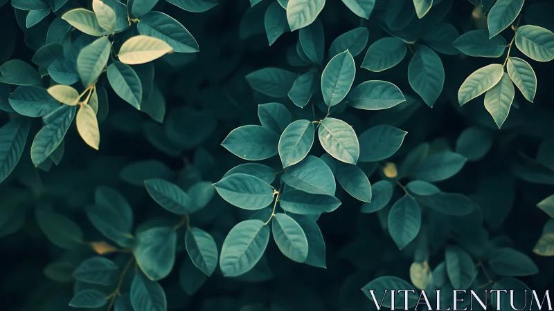 Quiet teal leaves drift like whispered thoughts at dusk