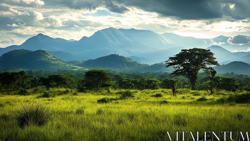 Sunlit tropical savanna before distant blue mountains.