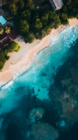 Tropical Paradise Unfolds: Turquoise Waters Kiss Sandy Shores