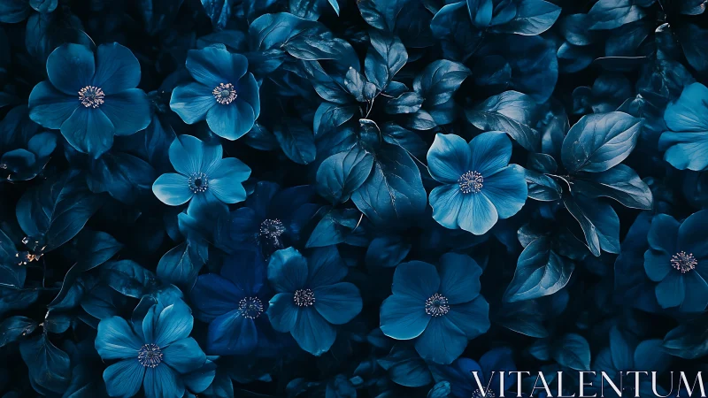 Blue flower composition with focal depth variation.