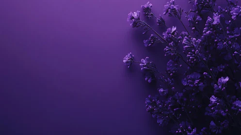 Purple Floral Composition Against Monochromatic Background.