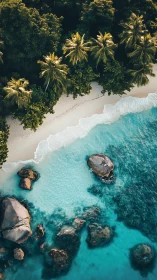 Aerial perspective captures tropical shoreline with crystalline waters.