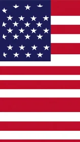 Stars tumble playfully across a bold reimagined US flag.