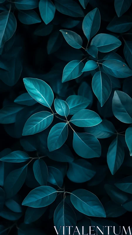 Overhead view of blue-toned foliage with overlapping leaves.