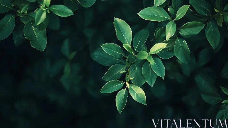 High-contrast green foliage with shallow depth-of-field rendering