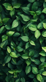 Leafy emerald tapestry woven from overlapping garden greens.