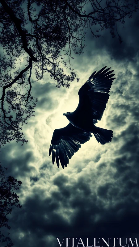 Silhouetted raptor in backlit flight against storm cloud break