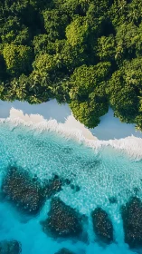 Tropical Paradise Meets Crystal Waters