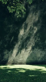 Sunlit shadows quietly climb an old moss-green garden wall