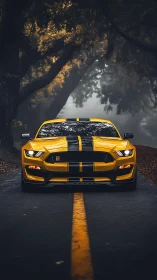 Bold yellow sports car glowing on a misty forest road.