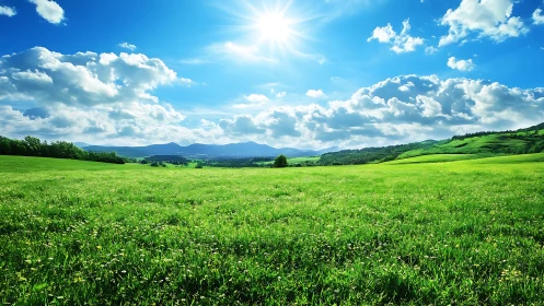 Wide grass field extends toward distant hills under sunlight