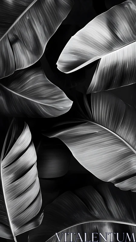 Silver banana leaves whisper quietly across the darkness