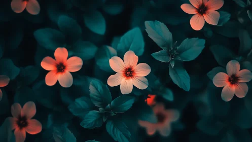 Coral Flowers Against Teal Foliage in Moody Light.