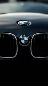 Black luxury car hood showcases central badge and grille