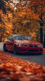 Red BMW sports coupe on forest road in bright autumn color.