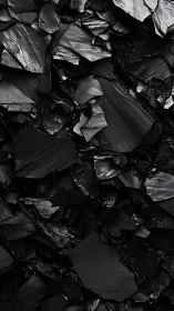 Macro analysis of fractured glossy black lithic shard topology.