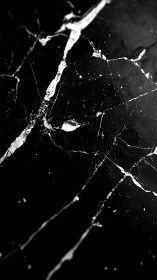 Noir marble riftlines whispering through cosmic black stone.