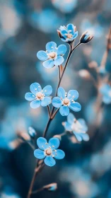 Delicate Blue Flowers with Selective Focus and Bokeh Background.