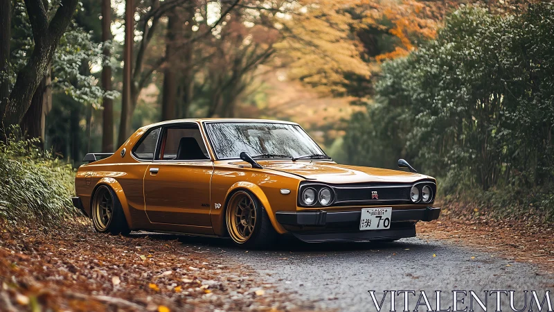 Autumn road crowns a classic orange Skyline with quiet glory.