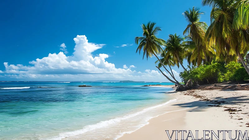 Tropical beach with palm trees, turquoise water and white sand