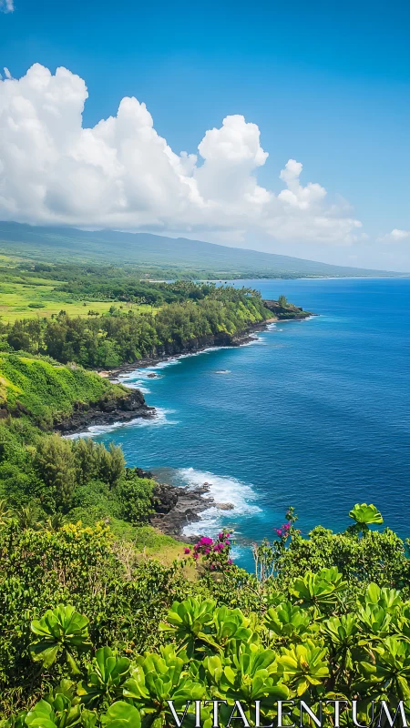 Tropical Coastal Landscape with Verdant Cliffside Vegetation and Turquoise Marine Composition