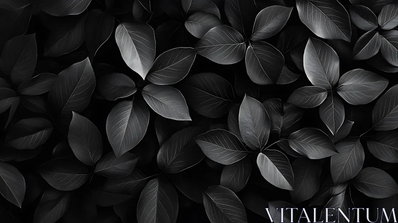 Monochrome leaf cluster shows uniform overlapping foliage