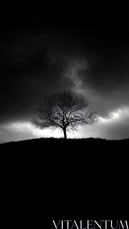 Lone winter tree crowns dark hill under storm sky.