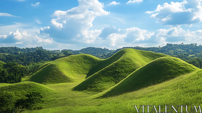 Sunlit rolling green hills under bright summer sky.
