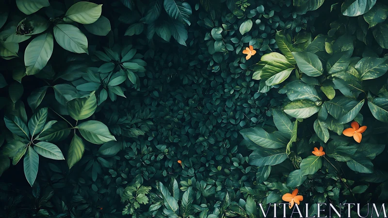 Dense tropical foliage encircles scattered orange flowers