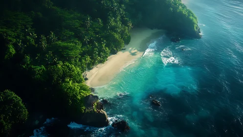 Pristine Tropical Beach Cove Meets Azure Waters.