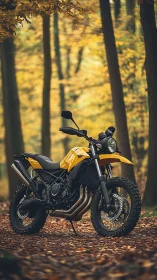 Golden trail motorcycle resting in a gentle autumn forest.