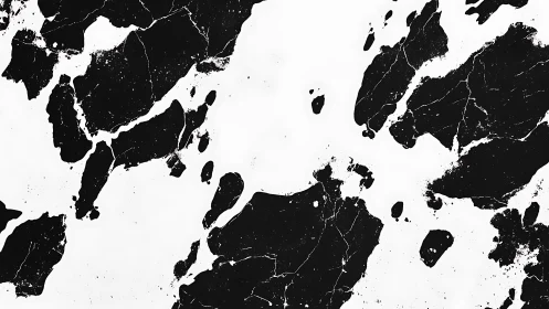 Monochrome irregular black patches on white surface.