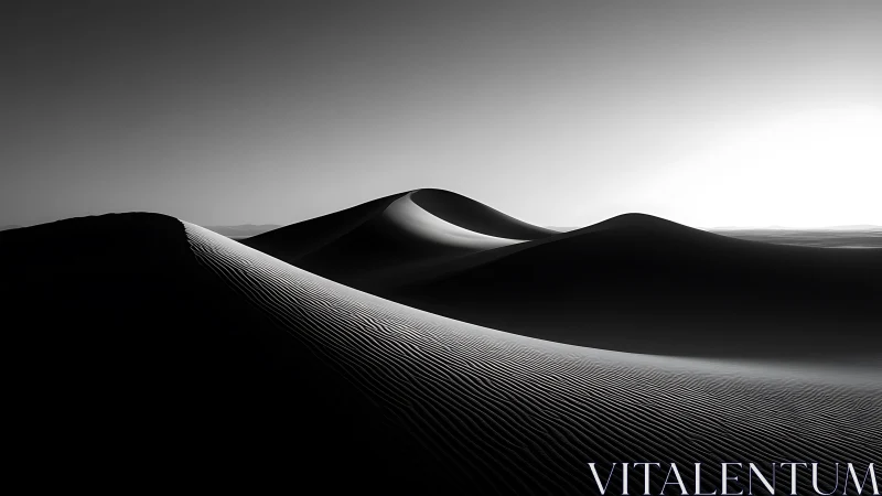 Monochrome desert dunes under stark backlit horizon.