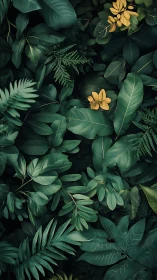 Dark tropical foliage with yellow accent leaves overhead.