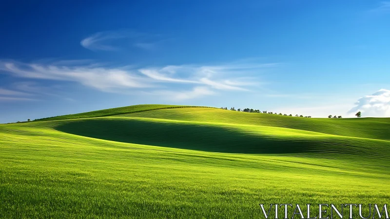 Rolling green hills extend under clear blue daytime sky