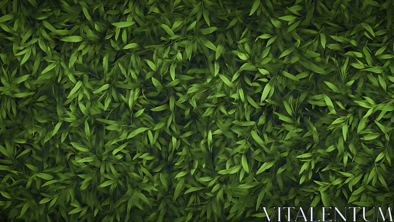 Dense layered foliage texture with overlapping green leaf clusters