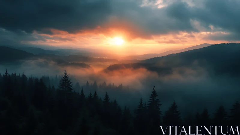Morning light pours gently over a misty mountain forest