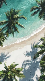 Aerial Tropical Beach Composition with Coconut Palms and Turquoise Water