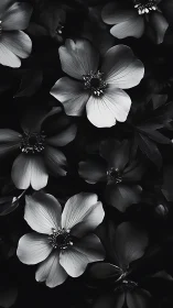 Black and white floral composition with anemone blooms.