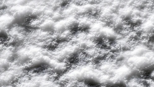 Macro closeup of fresh powder snow texture in soft daylight
