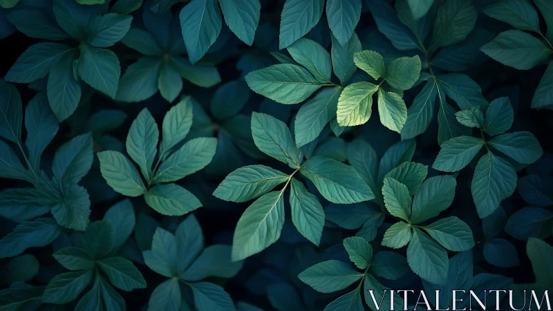 Luminous forest leaves whispering in cool teal shadows.