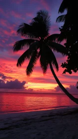 Tropical palm silhouette against vivid crimson sunset sky.