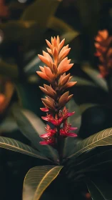 Tropical Ginger Flower Spike with Warm Gradient Tones