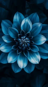 Blue flower rendered with multiple layered petals against dark background