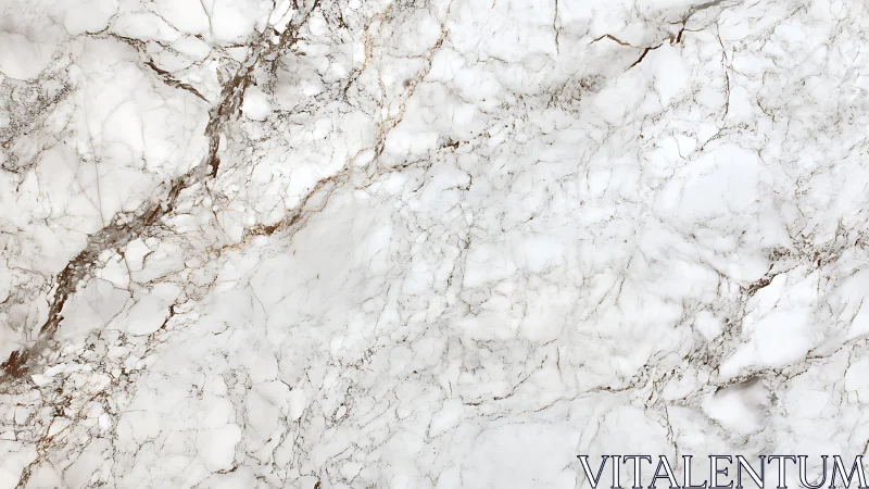 Light marble surface with brown mineral veining pattern.