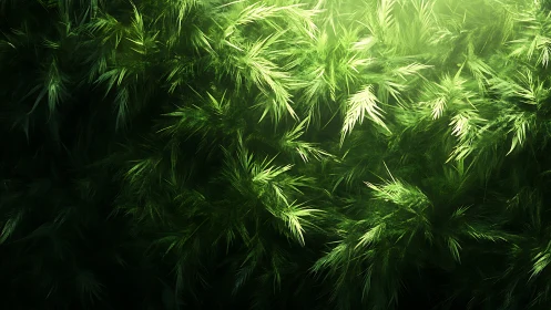 Lush emerald foliage under soft directional sunlight glow.