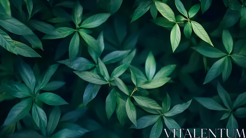 Photorealistic verdant foliage with radial leaf architecture.