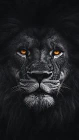 Low‑key frontal portrait of black‑maned lion with amber irises