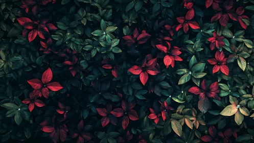 Dense foliage pattern with mixed red and green leaves.