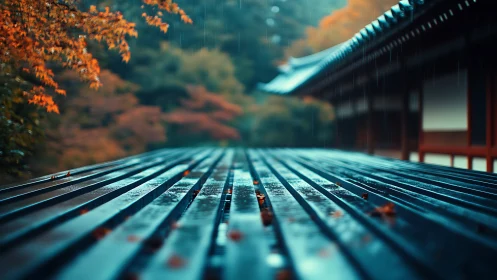 Wet metal surface beside traditional building in rain.